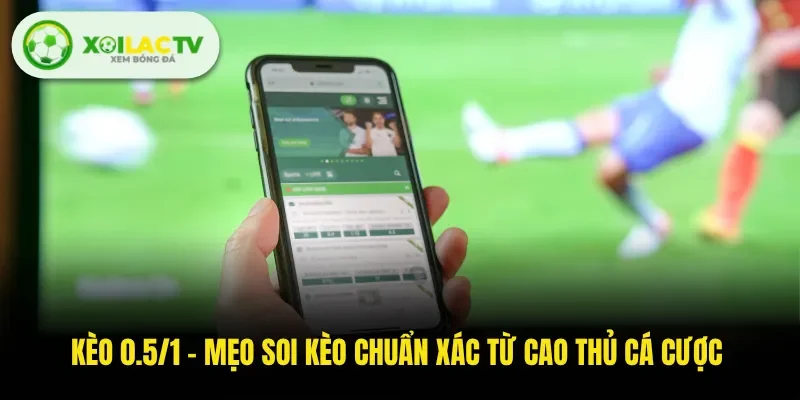 Kèo 0.5/1 - Mẹo Soi Kèo Chuẩn Xác Từ Cao Thủ Cá Cược