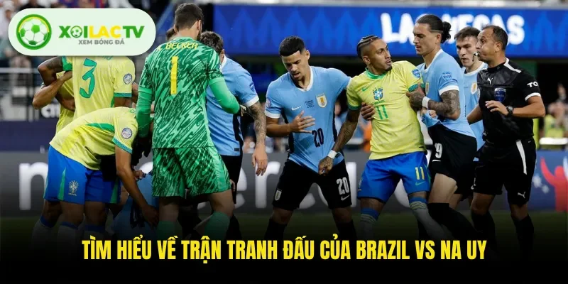 Tìm hiểu về trận tranh đấu của Brazil VS Na Uy