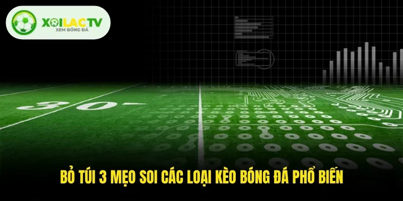 Bỏ túi 3 mẹo soi các loại kèo bóng đá phổ biến