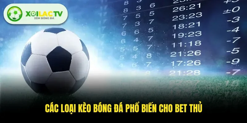 Các loại kèo bóng đá phổ biến cho bet thủ