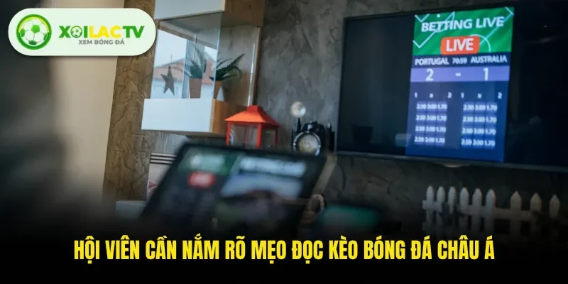 Hội viên cần nắm rõ mẹo đọc kèo bóng đá châu Á