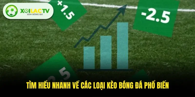 Tìm hiểu nhanh về các loại kèo bóng đá phổ biến
