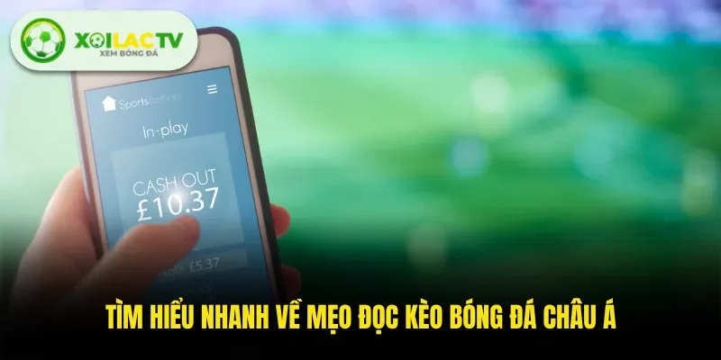 Tìm hiểu nhanh về mẹo đọc kèo bóng đá châu Á